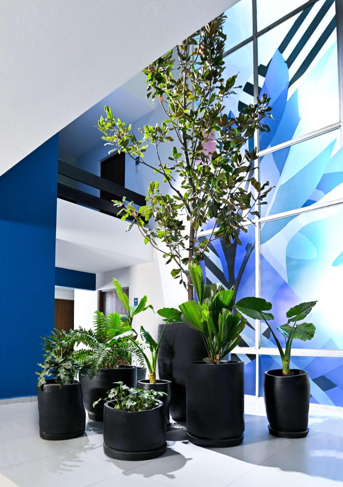 Vista Express Guadalajara Expo Surestay Collection By Bw Hotel 4*